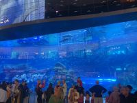 Dubal Mall - Aquarium
