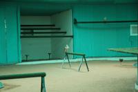 Falkenklinik