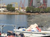 Hafen von Sharjah