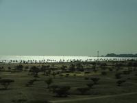 Küste von Fujairah