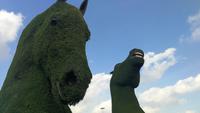 Miracle Gardens Dubai