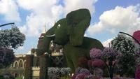 Miracle Gardens Dubai