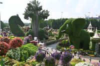 Silvesterreise Dubai - Miracle Garden (4)
