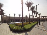 The Palm