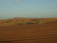 Wüstensafari Dubai