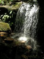 Unterwegs im Regenwald