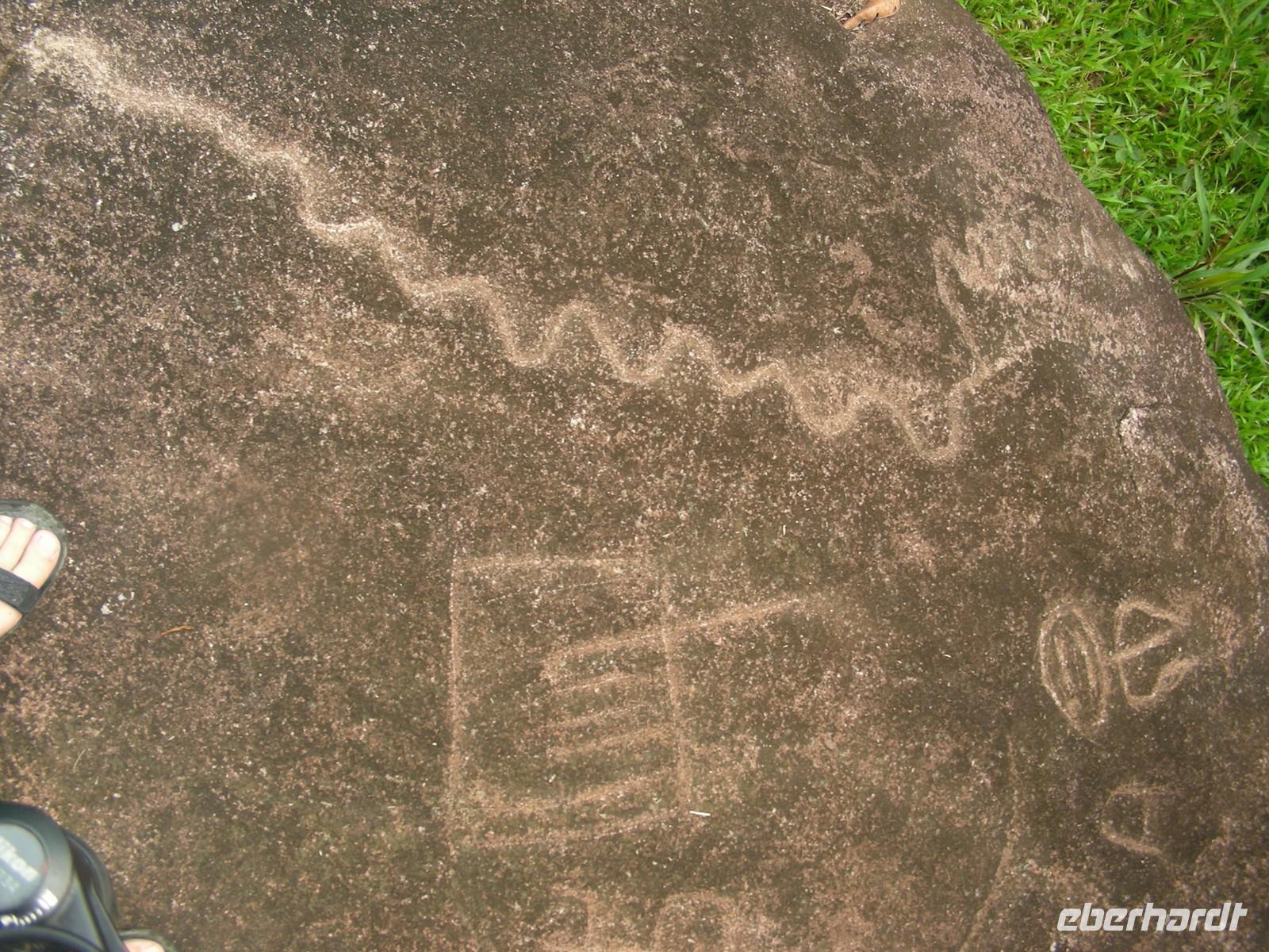 Unterwegs im Regenwald