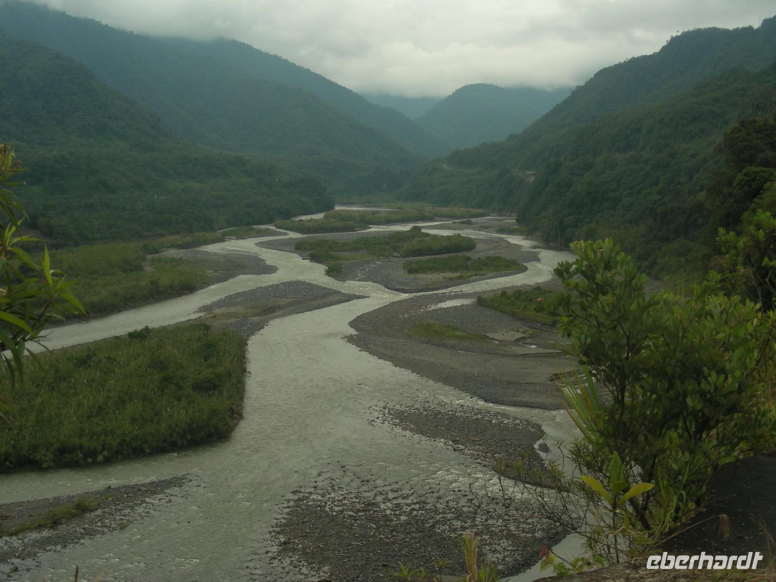 Unterwegs im Regenwald