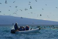 Die Gruppe mitten in einer 