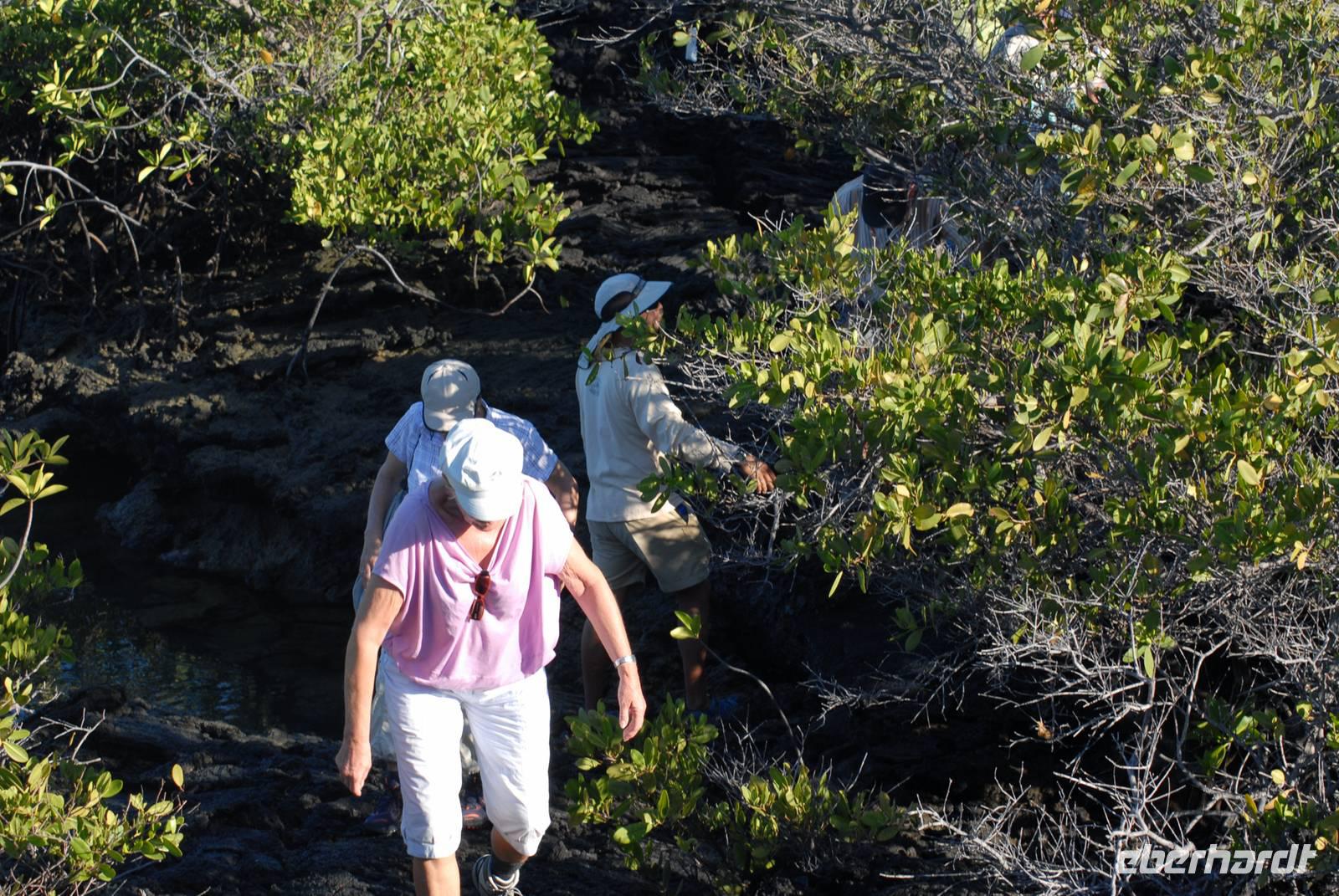 Manche Landungen auf den Galapagos sind unbequem
