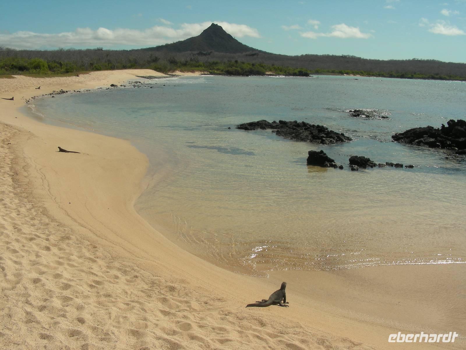 Der Strand bei Cerro Dragon/Santa Cruz