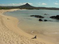 Der Strand bei Cerro Dragon/Santa Cruz