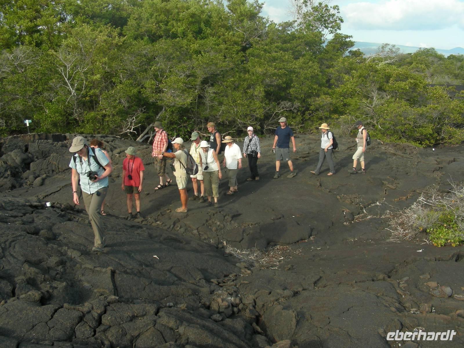 Im Lavafeld auf Fernandina