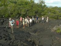 Im Lavafeld auf Fernandina