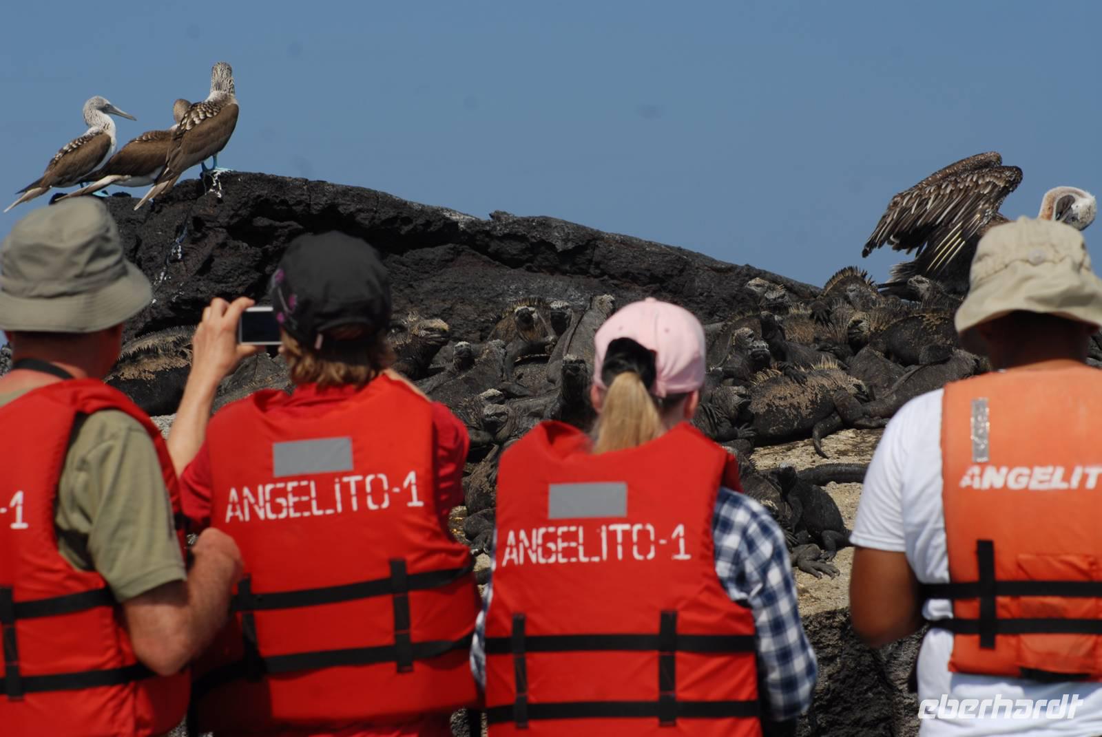Schwimmwesten sind Pflicht