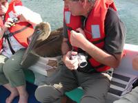 Unerwarteter Besuch im Beiboot