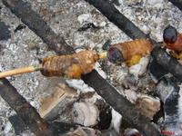 Leckere gebratene Bockkäferlarven