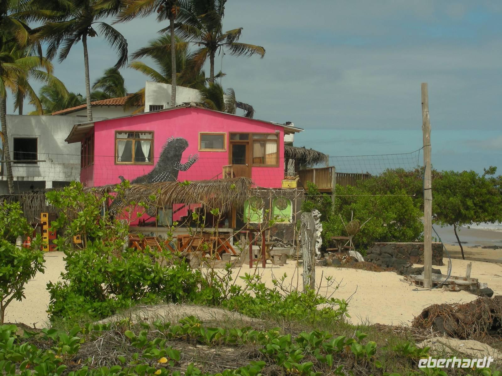 In Villamil auf Isabela