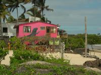 In Villamil auf Isabela