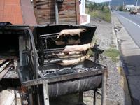 Meerschweinchengrill