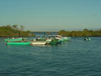 Galápagos