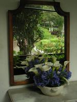 Hacienda Pinsaqui