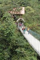 Unterwegs im Regenwald