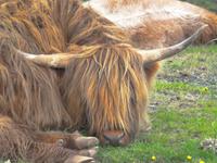 ... nicht stören lassen....