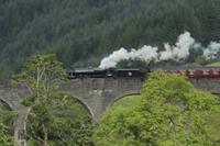 ...da ist er... nee... nicht Harry Potter auf dem Weg zu Hogwarts...