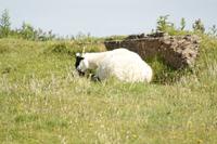 ...mach mal 'ne Pause...