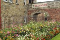 ...leider war es noch zu früh zum Tee...