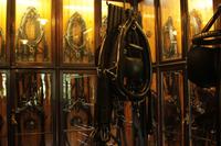 ...Lust auf einen kleinen Ausritt?...