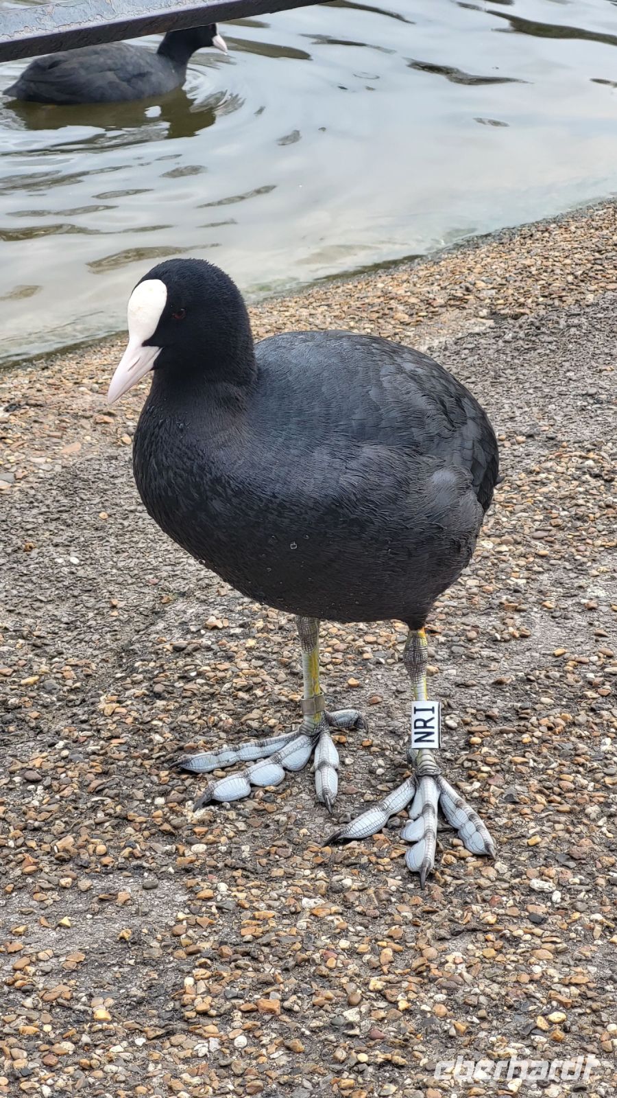 025 – London, St. James’s Park