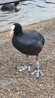 025 – London, St. James’s Park
