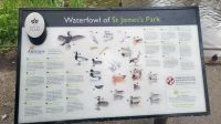 026 – London, St. James’s Park