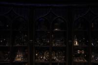062 Dumbledores Bu¨ro