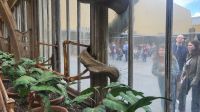 075 – Harry Potter Studio Tour