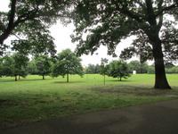 08 Greenwichpark