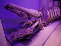 Warnerbros Studios Harry Potter Tour