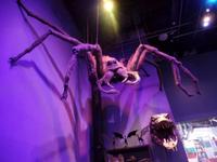 Warnerbros Studios in Leavesden