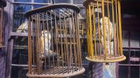 131 – England, London, Harry Potter Studio Tour