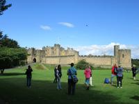 81 Alnwick Castle