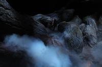 088 Der verbotene Wald