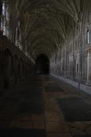 131 Percy fu¨hrt die Erstkla¨ssler zum Gemeinschafraum