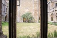 086 – Lacock Abbey