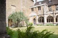 087 – Lacock Abbey