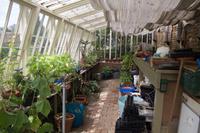 091 – Lacock Abbey, Garten