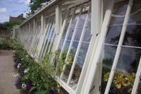 092 – Lacock Abbey, Garten