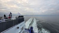 169 – Mit der DFDS nach Amsterdam