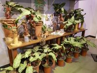 Harry Potter Studios